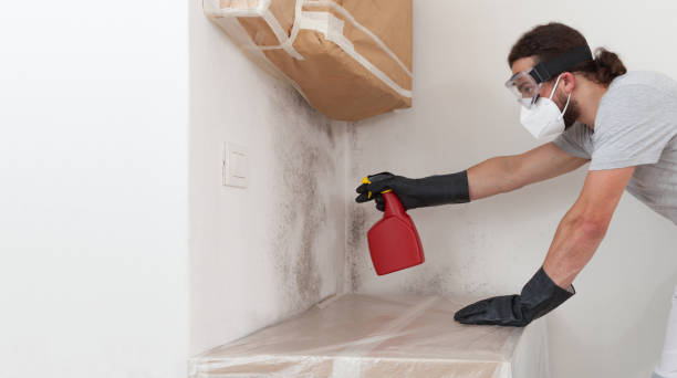 Professional Bathroom Mold Removal technician working in Russell Springs, KY