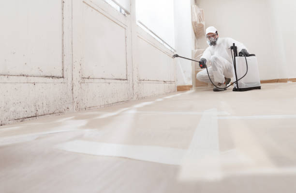 24/7 Emergency Bathroom Mold Removal experts in Russell Springs, KY